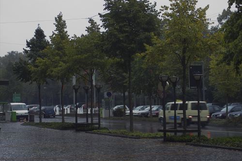 img00060-20